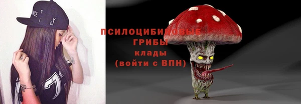 ALPHA PVP Куйбышев