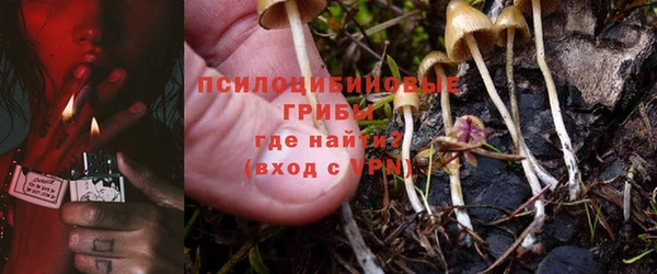 скорость Кукмор