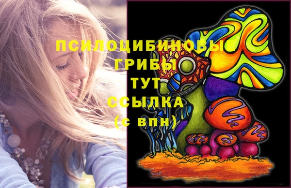 ALPHA PVP Куйбышев
