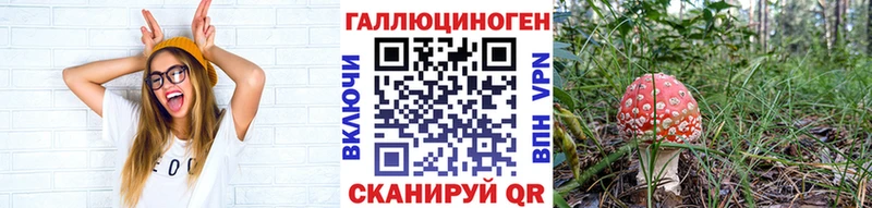 цены   OMG рабочий сайт  Псилоцибиновые грибы MAGIC MUSHROOMS  Курган 