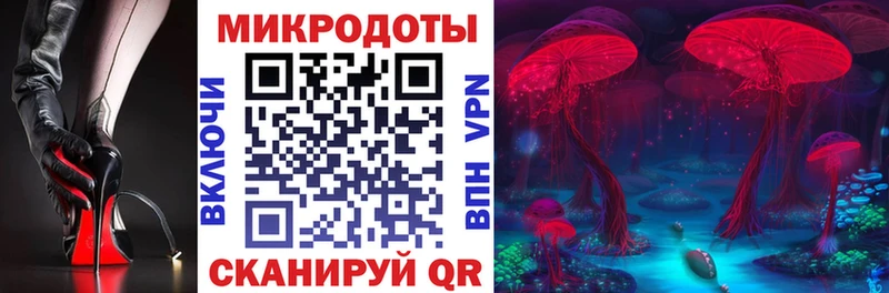 Галлюциногенные грибы Cubensis Курган
