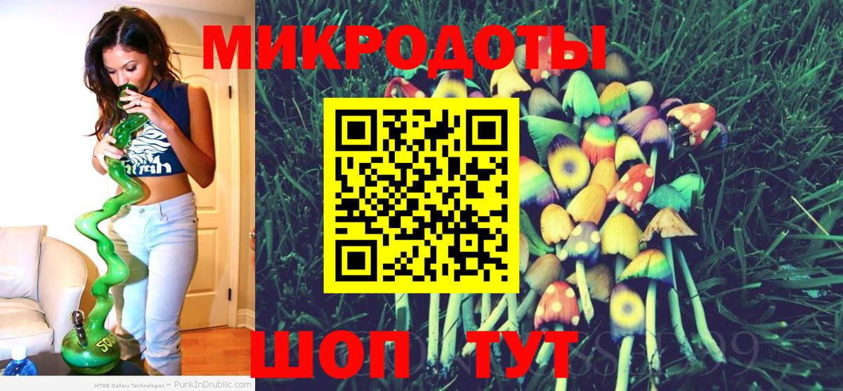 Курган  Псилоцибиновые грибы Psilocybine cubensis  Псилоцибиновые грибы Psilocybine cubensis  Вход с VPN 