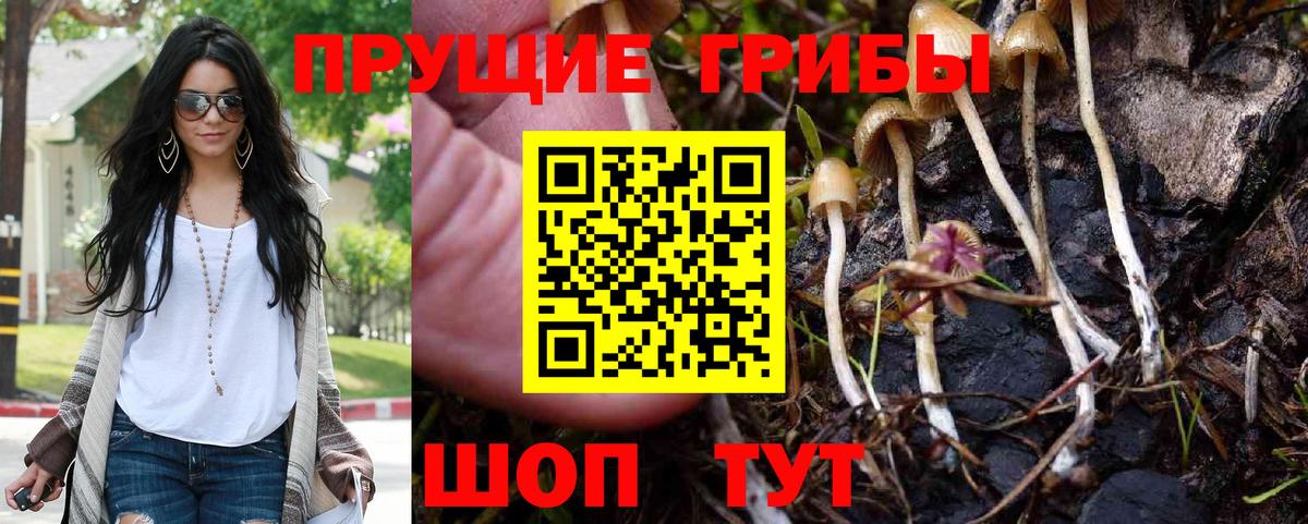 Псилоцибиновые грибы ЛСД Курган